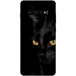Чохол itsPrint Чорний кіт для Samsung Galaxy S10+ - Інтернет-магазин спільних покупок ToGether