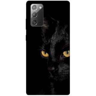 Чохол itsPrint Чорний кіт для Samsung Galaxy Note 20 - Інтернет-магазин спільних покупок ToGether