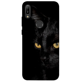 Чохол itsPrint Чорний кіт для Huawei Y6 (2019) - Інтернет-магазин спільних покупок ToGether