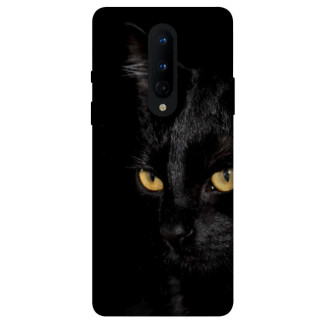 Чохол itsPrint Чорний кіт для OnePlus 8 - Інтернет-магазин спільних покупок ToGether