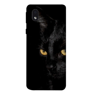 Чохол itsPrint Чорний кіт для Samsung Galaxy M01 Core / A01 Core - Інтернет-магазин спільних покупок ToGether
