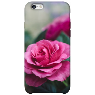 Чохол itsPrint Троянда у саду для Apple iPhone 6/6s (4.7") - Інтернет-магазин спільних покупок ToGether