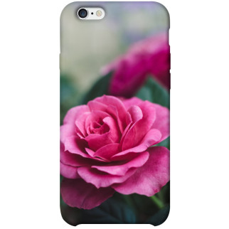 Чохол itsPrint Троянда у саду для Apple iPhone 6/6s plus (5.5") - Інтернет-магазин спільних покупок ToGether