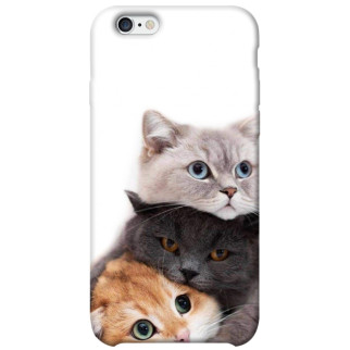 Чохол itsPrint Три коти для Apple iPhone 6/6s (4.7") - Інтернет-магазин спільних покупок ToGether