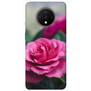 Чохол itsPrint Троянда у саду для OnePlus 7T - Інтернет-магазин спільних покупок ToGether