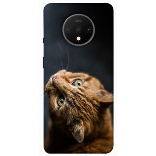 Чохол itsPrint Рудий кіт для OnePlus 7T - Інтернет-магазин спільних покупок ToGether