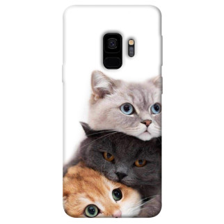 Чохол itsPrint Три коти для Samsung Galaxy S9 - Інтернет-магазин спільних покупок ToGether