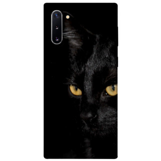 Чохол itsPrint Чорний кіт для Samsung Galaxy Note 10 - Інтернет-магазин спільних покупок ToGether
