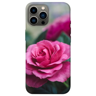 Чохол itsPrint Троянда у саду для Apple iPhone 13 Pro Max (6.7") - Інтернет-магазин спільних покупок ToGether