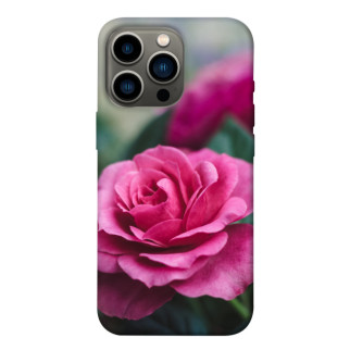 Чохол itsPrint Троянда у саду для Apple iPhone 13 Pro (6.1") - Інтернет-магазин спільних покупок ToGether