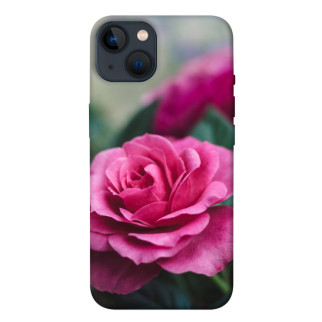Чохол itsPrint Троянда у саду для Apple iPhone 13 (6.1") - Інтернет-магазин спільних покупок ToGether