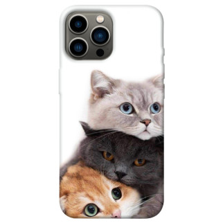 Чохол itsPrint Три коти для Apple iPhone 13 Pro Max (6.7") - Інтернет-магазин спільних покупок ToGether