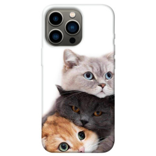 Чохол itsPrint Три коти для Apple iPhone 13 Pro (6.1") - Інтернет-магазин спільних покупок ToGether