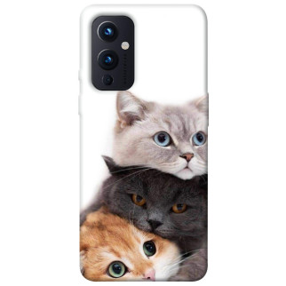 Чохол itsPrint Три коти для OnePlus 9 - Інтернет-магазин спільних покупок ToGether
