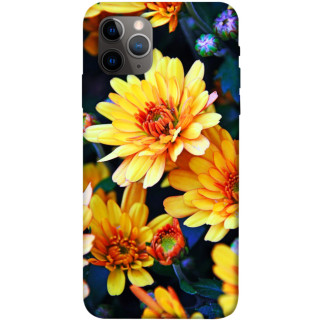 Чохол itsPrint Yellow petals для Apple iPhone 11 Pro (5.8") - Інтернет-магазин спільних покупок ToGether