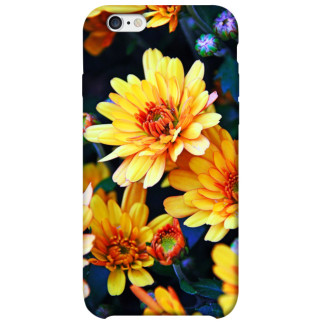 Чохол itsPrint Yellow petals для Apple iPhone 6/6s (4.7") - Інтернет-магазин спільних покупок ToGether