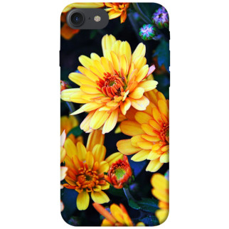 Чохол itsPrint Yellow petals для Apple iPhone 7 / 8 (4.7") - Інтернет-магазин спільних покупок ToGether