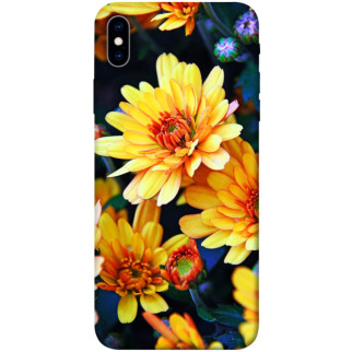 Чохол itsPrint Yellow petals для Apple iPhone XS Max (6.5") - Інтернет-магазин спільних покупок ToGether