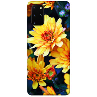 Чохол itsPrint Yellow petals для Samsung Galaxy S20+ - Інтернет-магазин спільних покупок ToGether