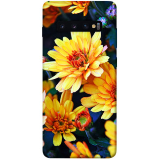 Чохол itsPrint Yellow petals для Samsung Galaxy S10+ - Інтернет-магазин спільних покупок ToGether