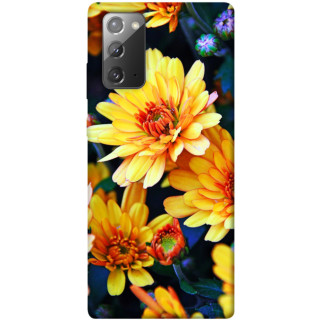 Чохол itsPrint Yellow petals для Samsung Galaxy Note 20 - Інтернет-магазин спільних покупок ToGether