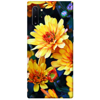 Чохол itsPrint Yellow petals для Samsung Galaxy Note 10 Plus - Інтернет-магазин спільних покупок ToGether