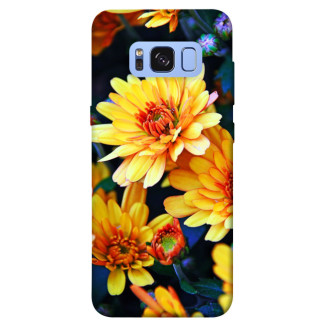 Чохол itsPrint Yellow petals для Samsung G950 Galaxy S8 - Інтернет-магазин спільних покупок ToGether