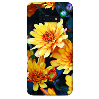 Чохол itsPrint Yellow petals для Samsung Galaxy S10e - Інтернет-магазин спільних покупок ToGether