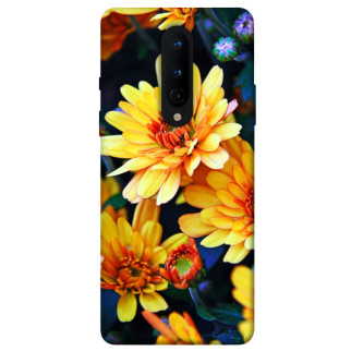 Чохол itsPrint Yellow petals для OnePlus 8 - Інтернет-магазин спільних покупок ToGether