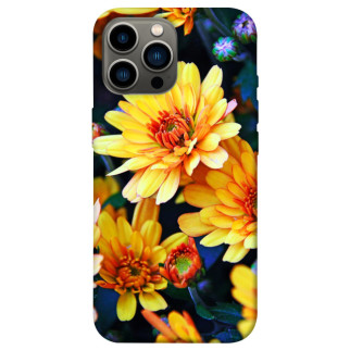 Чохол itsPrint Yellow petals для Apple iPhone 13 Pro Max (6.7") - Інтернет-магазин спільних покупок ToGether