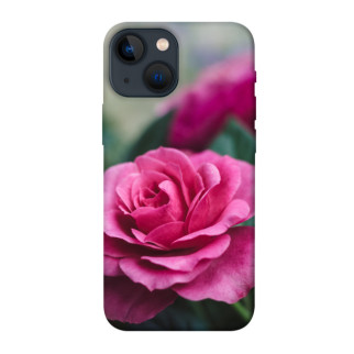 Чохол itsPrint Троянда у саду для Apple iPhone 13 mini (5.4") - Інтернет-магазин спільних покупок ToGether