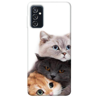 Чохол itsPrint Три коти для Samsung Galaxy M52 - Інтернет-магазин спільних покупок ToGether