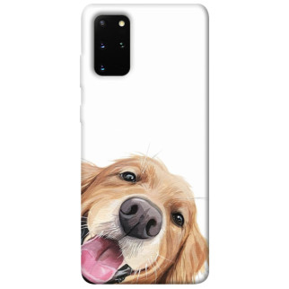 Чохол itsPrint Funny dog для Samsung Galaxy S20+ - Інтернет-магазин спільних покупок ToGether