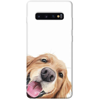 Чохол itsPrint Funny dog для Samsung Galaxy S10+ - Інтернет-магазин спільних покупок ToGether
