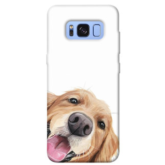 Чохол itsPrint Funny dog для Samsung G950 Galaxy S8 - Інтернет-магазин спільних покупок ToGether