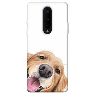 Чохол itsPrint Funny dog для OnePlus 8 - Інтернет-магазин спільних покупок ToGether