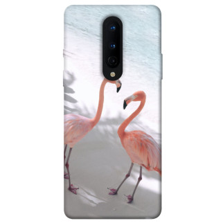 Чохол itsPrint Flamingos для OnePlus 8 - Інтернет-магазин спільних покупок ToGether
