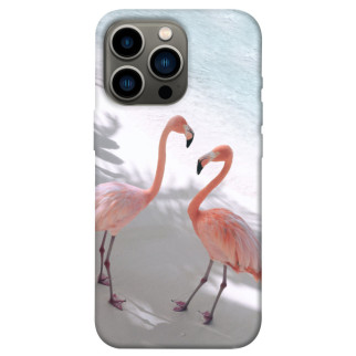 Чохол itsPrint Flamingos для Apple iPhone 13 Pro (6.1") - Інтернет-магазин спільних покупок ToGether