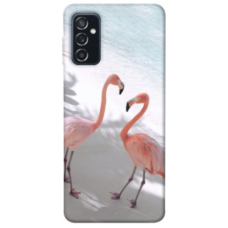 Чохол itsPrint Flamingos для Samsung Galaxy M52 - Інтернет-магазин спільних покупок ToGether