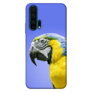 Чохол itsPrint Папуга ара для Huawei Honor 20 Pro - Інтернет-магазин спільних покупок ToGether