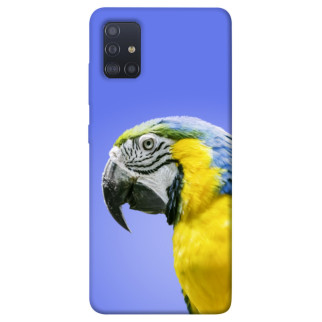 Чохол itsPrint Папуга ара для Samsung Galaxy M51 - Інтернет-магазин спільних покупок ToGether