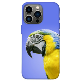 Чохол itsPrint Папуга ара для Apple iPhone 13 Pro (6.1") - Інтернет-магазин спільних покупок ToGether