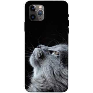 Чохол itsPrint Cute cat для Apple iPhone 11 Pro Max (6.5") - Інтернет-магазин спільних покупок ToGether