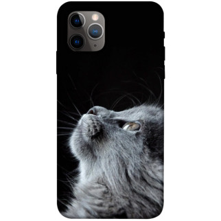 Чохол itsPrint Cute cat для Apple iPhone 11 Pro (5.8") - Інтернет-магазин спільних покупок ToGether