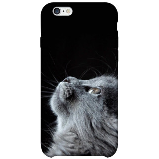 Чохол itsPrint Cute cat для Apple iPhone 6/6s (4.7") - Інтернет-магазин спільних покупок ToGether