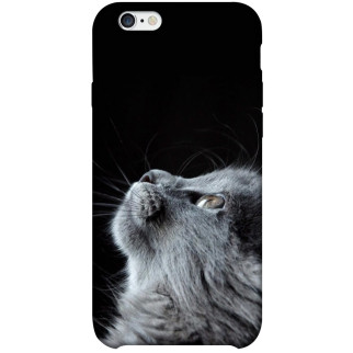 Чохол itsPrint Cute cat для Apple iPhone 6/6s plus (5.5") - Інтернет-магазин спільних покупок ToGether