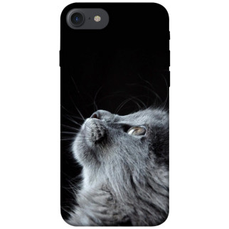 Чохол itsPrint Cute cat для Apple iPhone 7 / 8 (4.7") - Інтернет-магазин спільних покупок ToGether