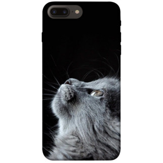 Чохол itsPrint Cute cat для Apple iPhone 7 plus / 8 plus (5.5") - Інтернет-магазин спільних покупок ToGether