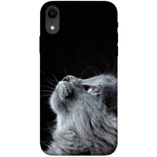 Чохол itsPrint Cute cat для Apple iPhone XR (6.1") - Інтернет-магазин спільних покупок ToGether