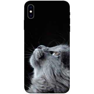 Чохол itsPrint Cute cat для Apple iPhone X (5.8") - Інтернет-магазин спільних покупок ToGether